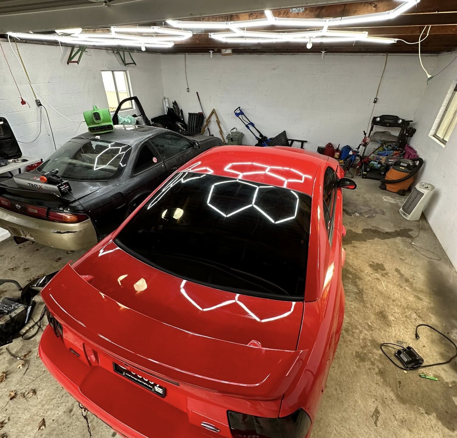 Mustang - 20% Window Tint